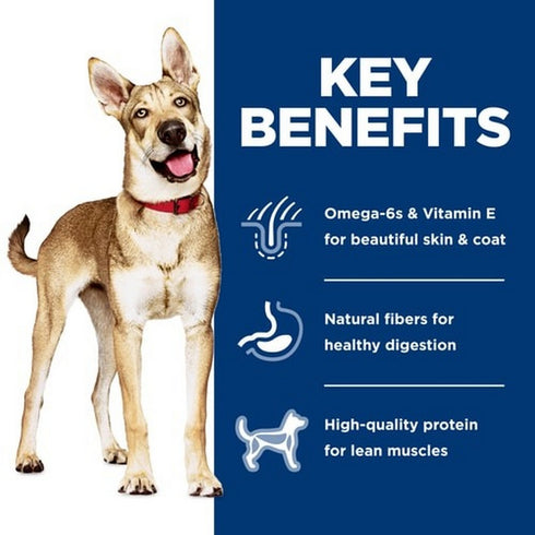 Hill's Science Diet Adult Salmon & Brown Rice Dry Dog Food 33lb