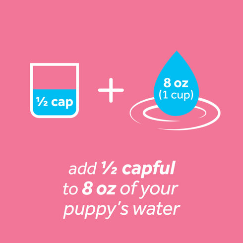 TROPICLEAN Dental Health Solution for Puppies 8oz