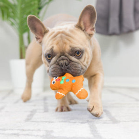 H&K Tiny Tuff Dunk & Crunch 2pk