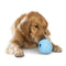West Paw Rumbl Aqua Treat-Dispensing Toy for Dogs, Small