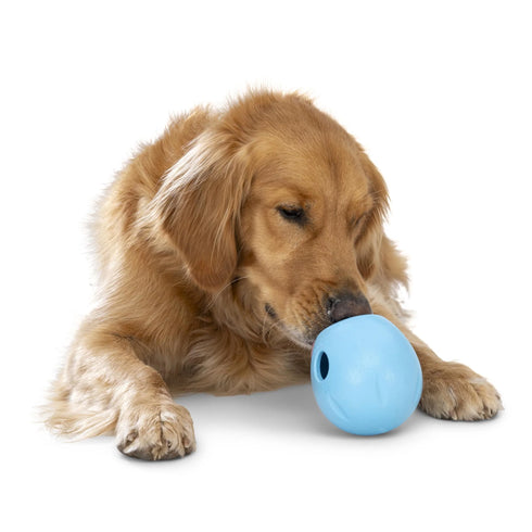 West Paw Rumbl Aqua Treat-Dispensing Toy for Dogs, Large