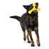 West Paw Skamp Dandelion Toy for Dogs, Large
