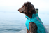 Bay Dog Saginaw Fleece XL AQUA Extra large 32-42"