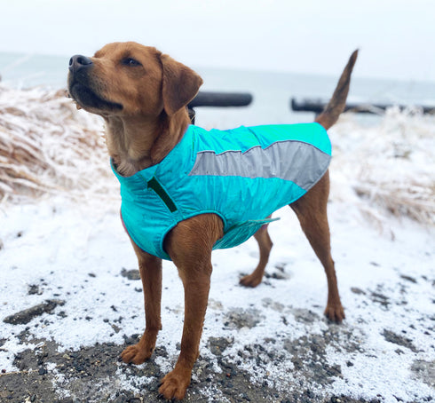 Bay Dog Saginaw Fleece XL AQUA Extra large 32-42"