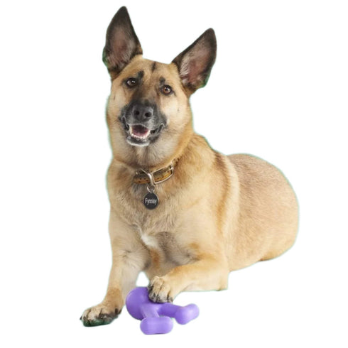 Yomp Funny Bone Purple Dog Toy