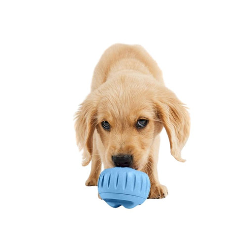 Woof Pet Blue Pupsicle Small - Poudre Pet & Feed Supply 3