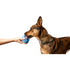 Woof Pupsicle Treat-Dispensing Dog Toy, Blue, Large
