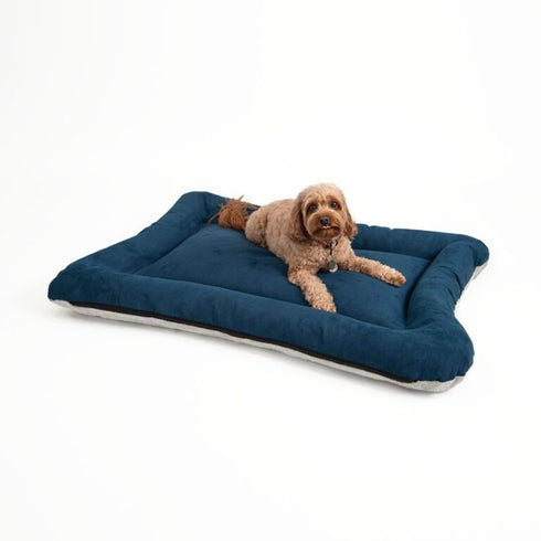 Snoozer All Day Reversible Dog Bed Medium Sapphire Ivory - Poudre Pet & Feed Supply