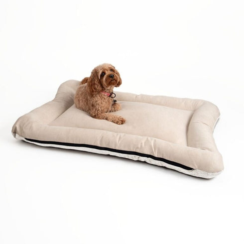 Snoozer All Day Reversible Dog Bed Medium Bucksin Ivory - Poudre Pet & Feed Supply