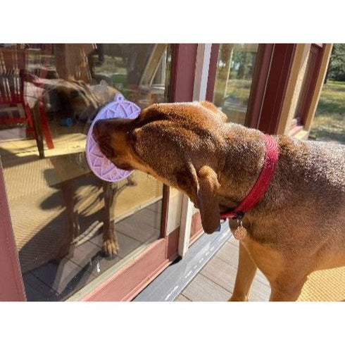 SodaPup Lotus Design eMat Enrichment Lick Mat With Suction Cups Pastel Purple - Poudre Pet & Feed Supply 5