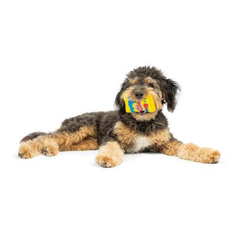 Huxley & Kent Tiny Tuff Fishing For Sweets Dog Toys 2Pk - Poudre Pet & Feed Supply 4