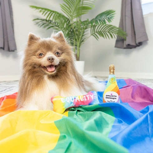 Huxley & Kent Tiny Tuff Out For Brunch Dog Toys 2Pk - Poudre Pet & Feed Supply 2