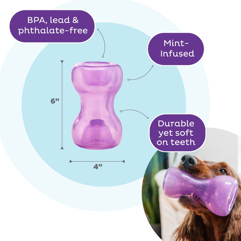 Outward Hound Double Snoop Treat Dispenser Dog Toy Purple - Poudre Pet & Feed Supply 3