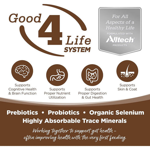 PureVita Limited Ingredient Dry Dog Food - Chicken & Brown Rice - 4lb Bag