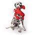 FabDog Floppy Lobster Dog Toy Large - Poudre Pet & Feed Supply 3