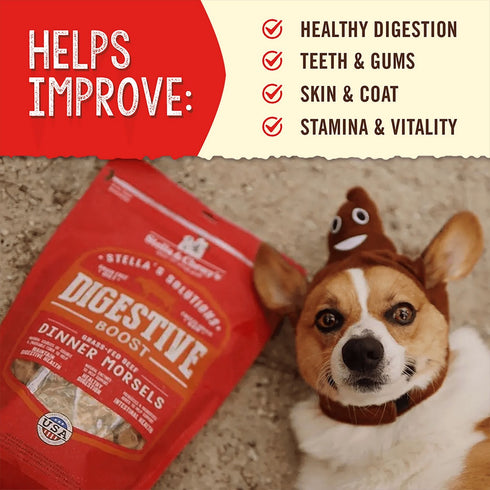 Stella & Chewy's Stella’s Solutions Digestive Support Beef Dry Dog Food 13oz - Poudre Pet & Feed Supply 4