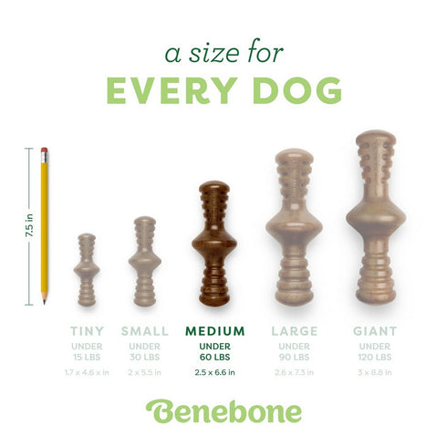 Benebone Zaggler Bacon Dog Toy Medium - Poudre Pet & Feed Supply 4