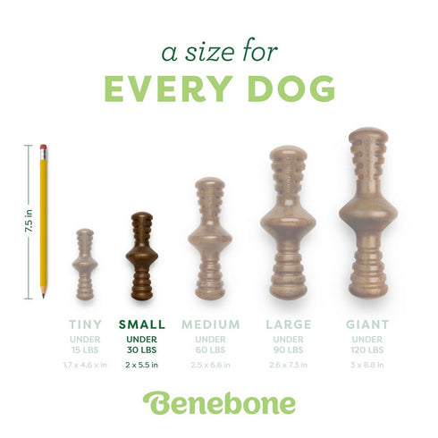 Benebone Zaggler Bacon Dog Toy Small - Poudre Pet & Feed Supply 4