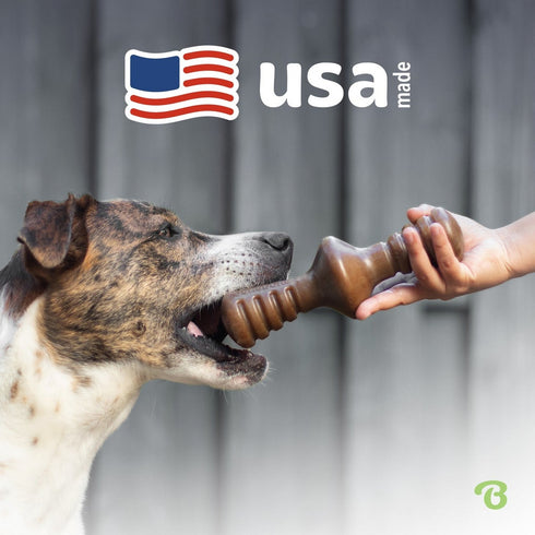 Benebone Zaggler Bacon Dog Toy Small - Poudre Pet & Feed Supply5