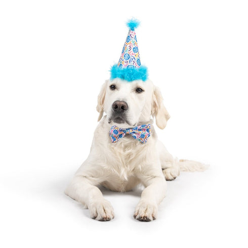 Huxley & Kent Happy Got Me Day Bow Tie Small - Poudre Pet & Feed Supply 4