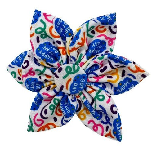 Huxley & Kent Happy Got Me Day Pinwheel Small - Poudre Pet & Feed Supply