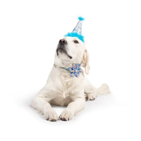 Huxley & Kent Happy Got Me Day Pinwheel Small - Poudre Pet & Feed Supply 2