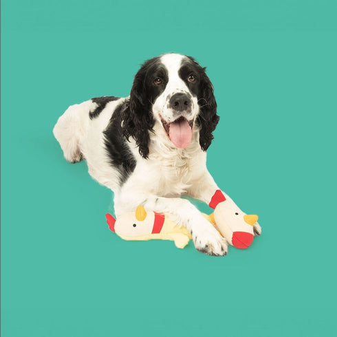 Yomp Clucky Plush Set 2Pack Dog Toys - Poudre Pet & Feed Supply 3