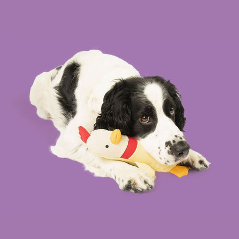 Yomp Clucky Plush Set 2Pack Dog Toys - Poudre Pet & Feed Supply 4