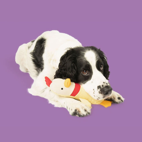 Yomp Clucky Plush Solo Dog Toy - Poudre Pet & Feed Supply 3