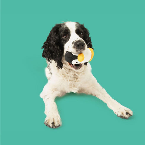 Yomp Waddles Plush Set 2Pack Dog Toys - Poudre Pet & Feed Supply 4