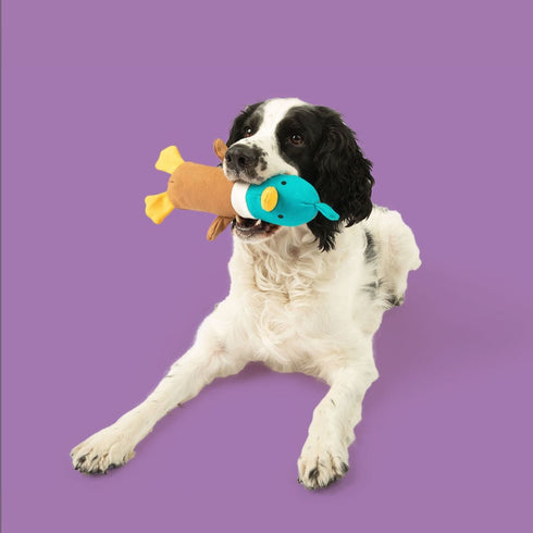 Yomp Quackers Plush Set 2Pack Dog Toys - Poudre Pet & Feed Supply 5