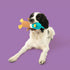 Yomp Quackers Plush Solo Dog Toy - Poudre Pet & Feed Supply 3
