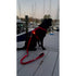 Bay Dog Firefly LED Safety Light - Poudre Pet & Feed Supply 2