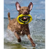 Bay Dog WaveSkipper Dog Toy Yellow - Poudre Pet & Feed Supply 2