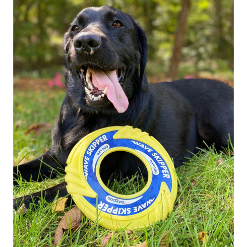 Bay Dog WaveSkipper Dog Toy Yellow - Poudre Pet & Feed Supply 3