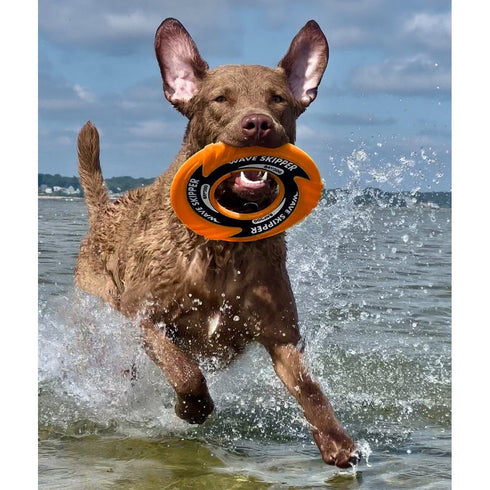 Bay Dog WaveSkipper Dog Toy Orange - Poudre Pet & Feed Supply 2