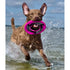 Bay Dog WaveSkipper Dog Toy Sunset Pink - Poudre Pet & Feed Supply 3