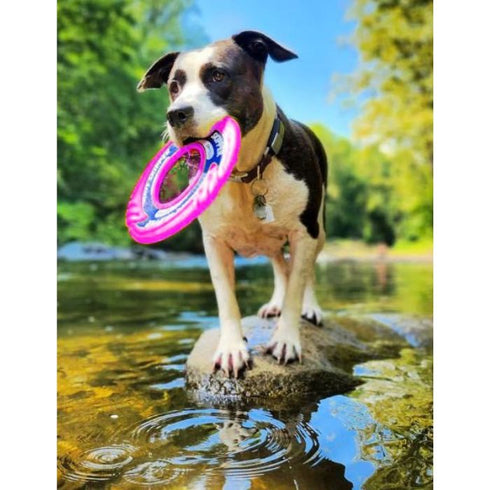 Bay Dog WaveSkipper Dog Toy Sunset Pink - Poudre Pet & Feed Supply 4