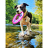 Bay Dog WaveSkipper Dog Toy Sunset Pink - Poudre Pet & Feed Supply 4