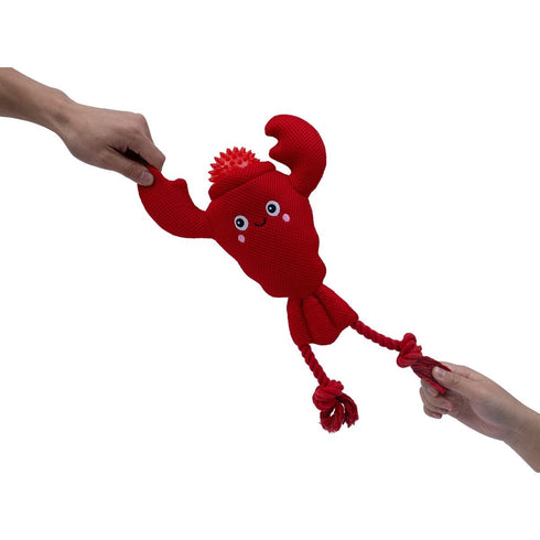 Territory 2-in-1 Lobster Floating Dog Toy - Poudre Pet & Feed Supply 4
