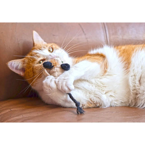 PLAY Feline Frenzy Halloween Menacing Mice Cat Toy Set 2 Pack - Poudre Pet & Feed Supply 3