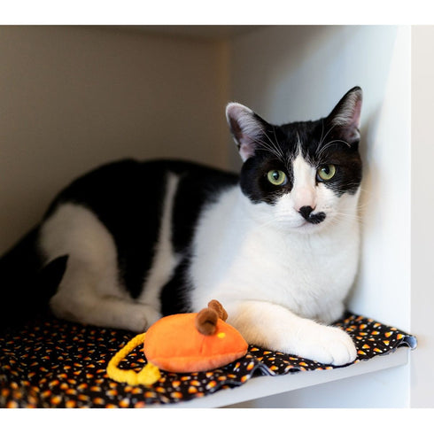 PLAY Feline Frenzy Halloween Menacing Mice Cat Toy Set 2 Pack - Poudre Pet & Feed Supply 4