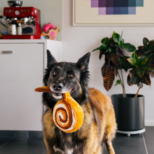 PLAY Pup Cup Cafe Cinnamon Roll Dog Toy XS - Poudre Pet & Feed Supply 2
