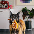 PLAY Pup Cup Cafe Cinnamon Roll Dog Toy XS - Poudre Pet & Feed Supply 2