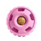 Woof Party Pupsicles Birthday Pink Small - Poudre Pet & Feed Supply