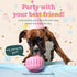 Woof Party Pupsicles Birthday Pink Small - Poudre Pet & Feed Supply 3