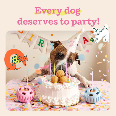 Woof Party Pupsicles Birthday Pink Large - Poudre Pet & Feed Supply 6