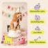 Woof Party Pupsicles Birthday Pink XLarge - Poudre Pet & Feed Supply 5