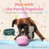 Woof Birthday Pops Dog Treats 6oz Small 10Pk - Poudre Pet & Feed Supply 5