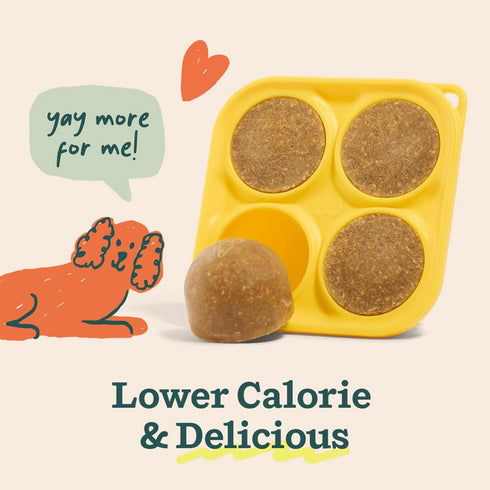 Woof Balanced Belly Pupsicle Mix 5.5oz - Poudre Pet & Feed Supply 7